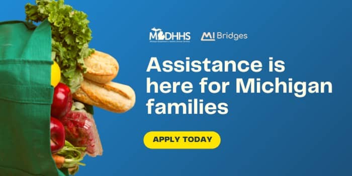 MI-Bridges-MDHHS